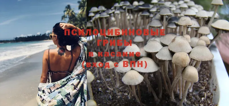 цена наркотик  Усть-Лабинск  Псилоцибиновые грибы Magic Shrooms 